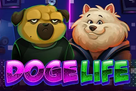 Doge life